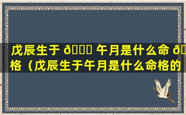 戊辰生于 🐛 午月是什么命 🐈 格（戊辰生于午月是什么命格的人）